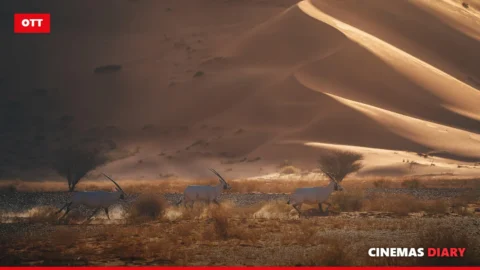 Desert landscape for Aadujeevitham OTT release featured image