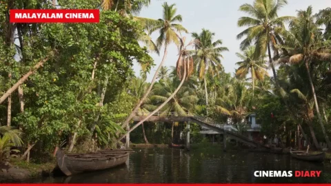 Film set action scene for best Malayalam action movies