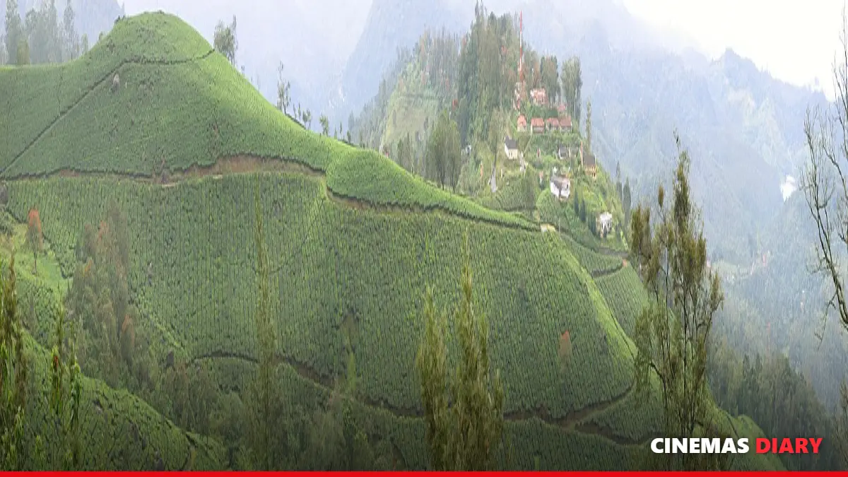 Scenic Kerala hills, a classic backdrop in best Malayalam romantic movies