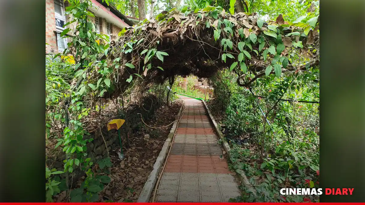 An old house near the forest like the one in the Kishkindha Kaandam trailer