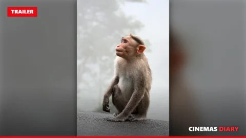 Monkeys in a forest, a key image in the Kishkindha Kaandam trailer