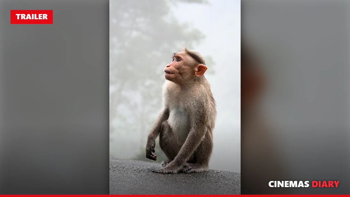 Monkeys in a forest, a key image in the Kishkindha Kaandam trailer