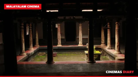 Old Kerala tharavad house used in Malayalam horror movies