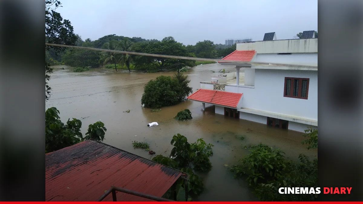 2018 Kerala floods that inspired Malayalam movies based on true stories