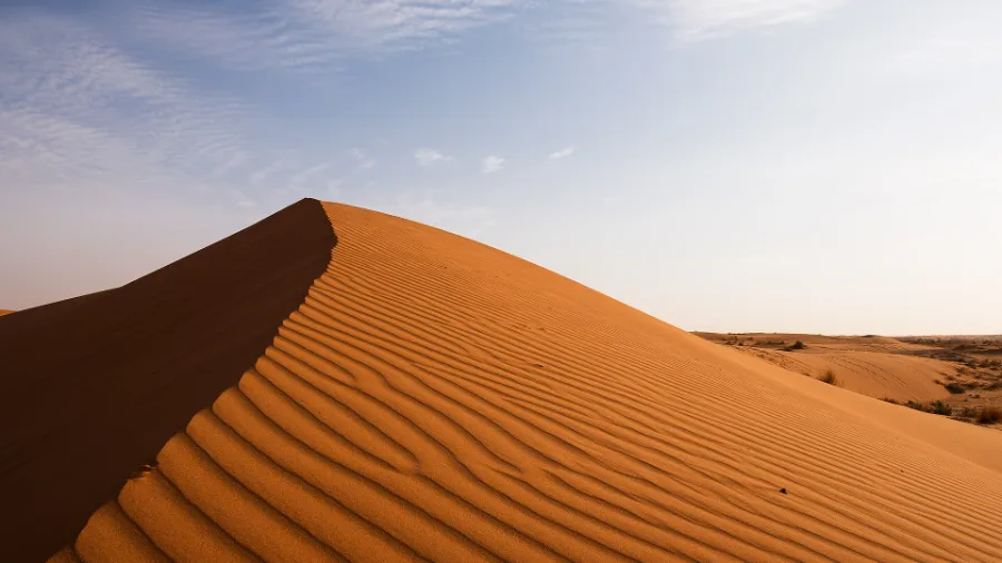 Malayalam survival movies desert setting of Aadujeevitham