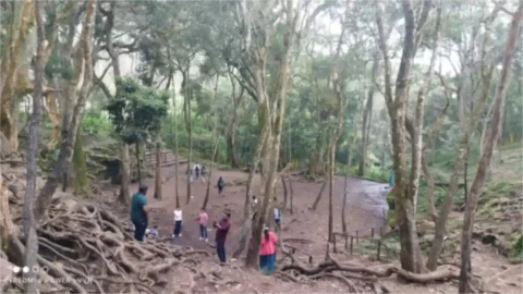 Malayalam survival movies Guna caves Kodaikanal